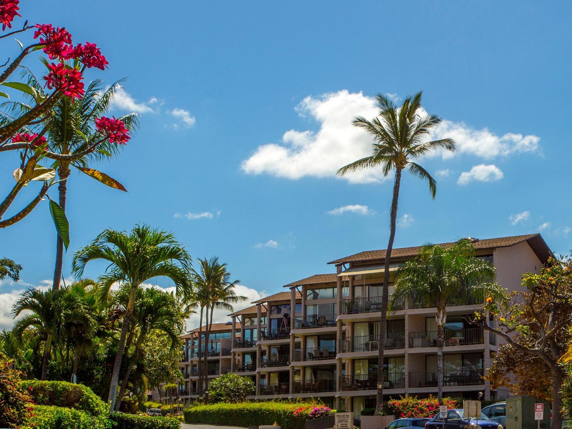Ocean View Unit At Kihei Alii Kai Close To Beach Ngoại thất bức ảnh